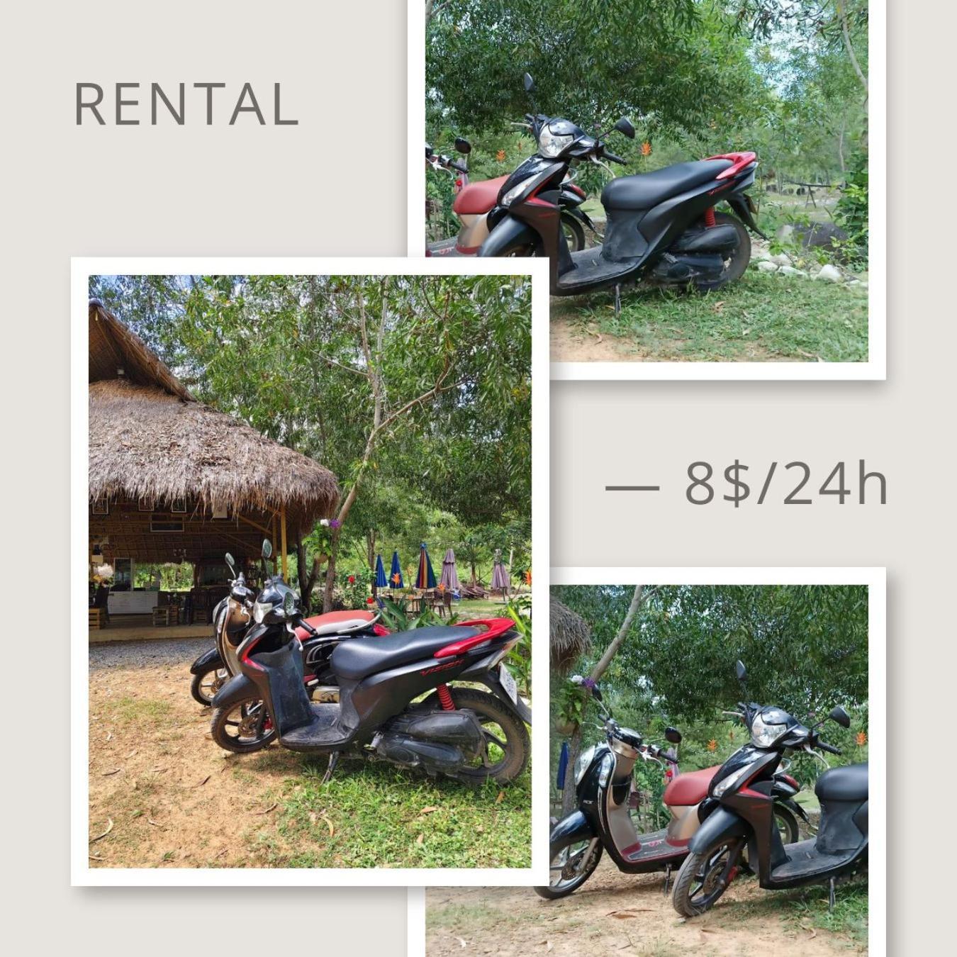 Kampot Camping - Eco Retreat Bagian luar foto
