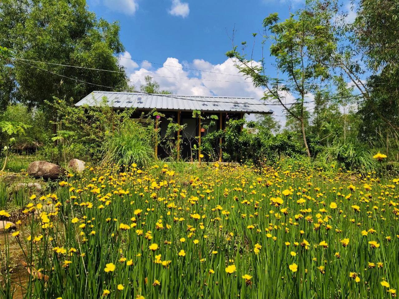 Kampot Camping - Eco Retreat Bagian luar foto