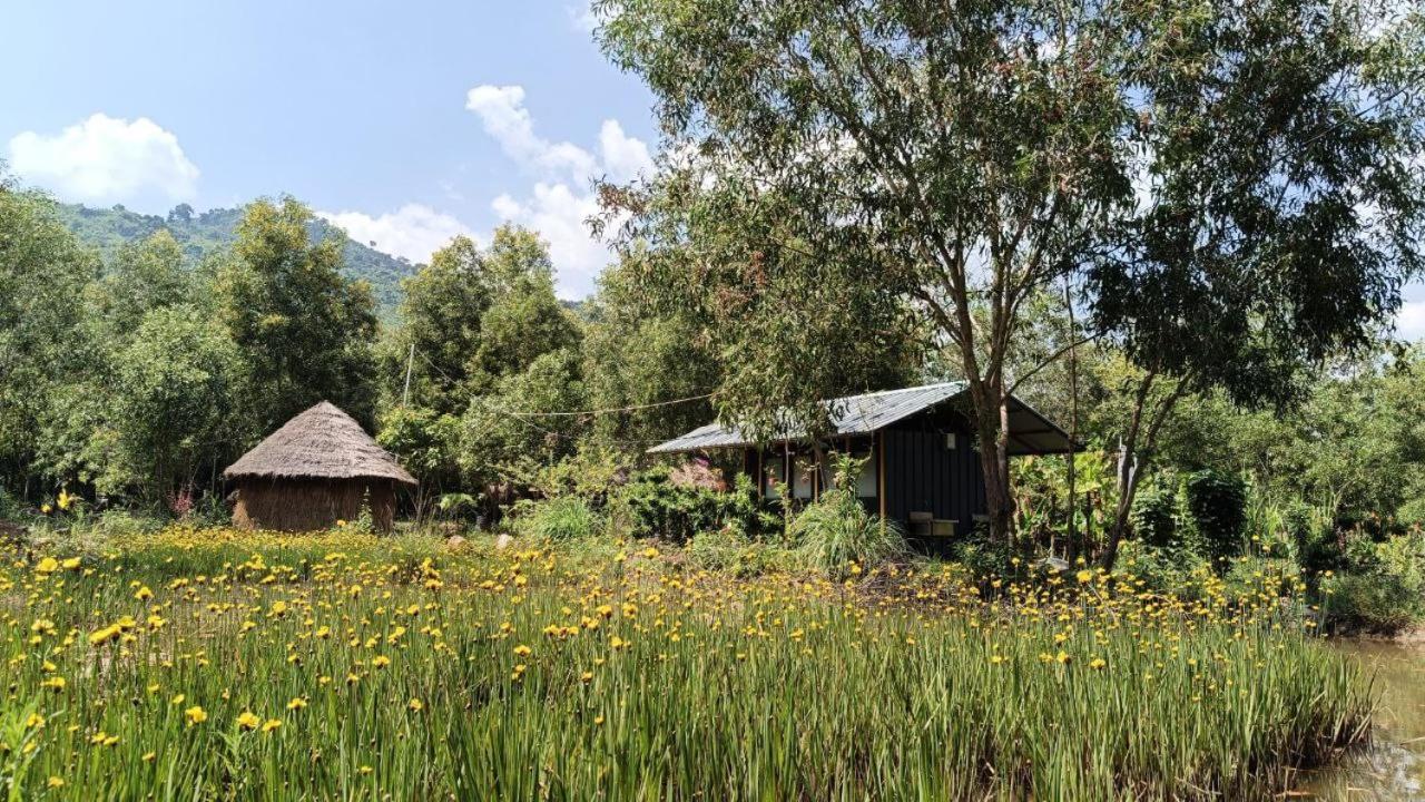 Kampot Camping - Eco Retreat Bagian luar foto